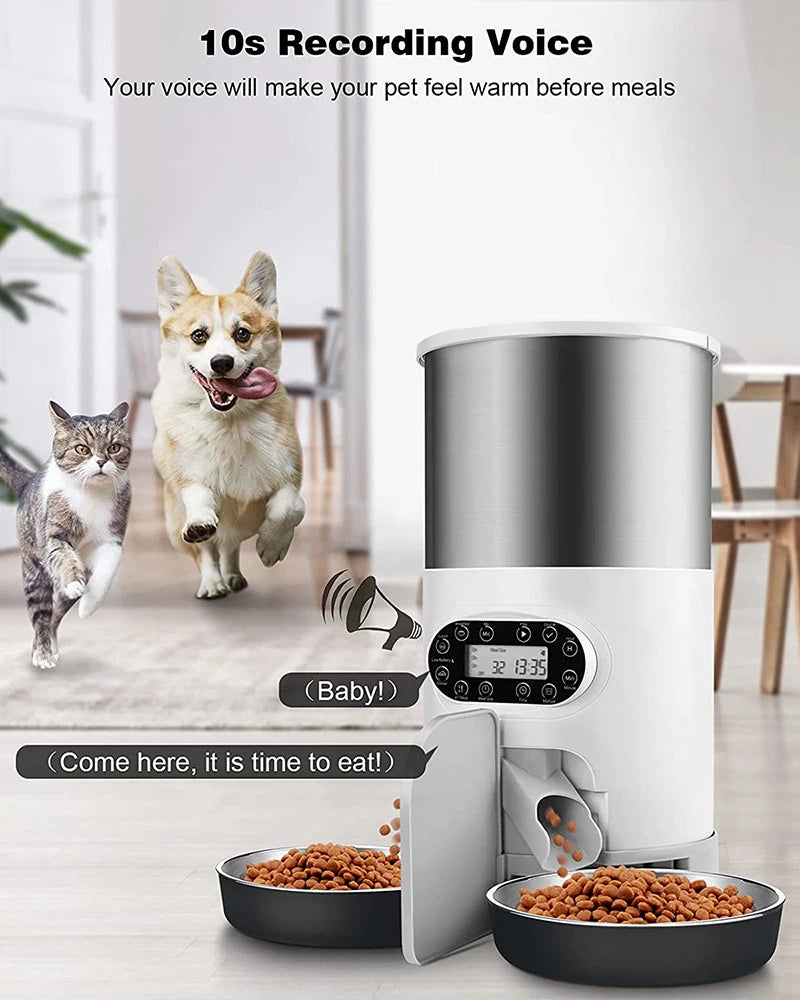 WhiskerBite™ Smart WiFi Pet Feeder – 6L | Voice + App Control